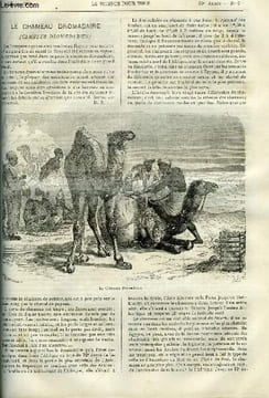 La science pour tous n° 6 - Le chameau dromadaire, Une nouvelle pile, Le bronze d'aluminium, Mode d'extraction de la résine, Les locomotive a frein ...