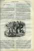 La science pour tous n° 30 - Les plocéidés par A. E. Brehm, Entomologie agricole, les oestres par Alexandre Landrin, Astronomie, le mouvement dans ...