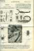 La science pour tous n° 28-29 - Zoologie, myriapodes et arachnides par P. Gervais, Inflammation d'un jet de gaz lors de la chute de la foudre par W. ...
