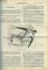 La science pour tous n° 40-41 - Ornithologie, l'hirondelle rustique par Brehm, Le tunnel des alpes (suite et fin) par Henri de Parville, Chimie, de ...