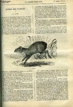 La science pour tous n° 13 - Jardin des plantes, les agoutis par A. Dupuis, De la ventilation dans les usines malsaines, Médecine domestique, ...