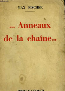ANNEAUX DE LA CHAINE.