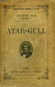 ATAR-GULL.