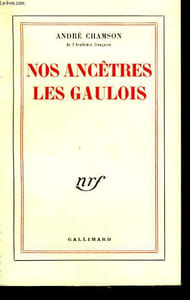 NOS ANCETRES LES GAULOIS.