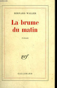 LA BRUME DU MATIN.