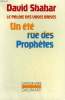LE PALAIS DES VASES BRISES : UN ETE RUE DES PROPHETES. COLLECTION : L'IMAGINAIRE N° 115. SHAHAR DAVID.