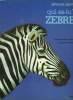 BETES EN LIBERTE. QUI ES TU? ZEBRE.. TAUGERON MARTINE.