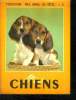 MES CHIENS. COLLECTION MES AMIES LES BETES N° 4.. COLLECTIF.