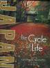 JAPAN THE CYCLE OF LIFE. TEXTE EN ANGLAIS.. TAKAMADO ORINCE HIH.