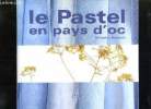 LE PASTEL EN PAYS D OC.. BANESSY SANDRINE.