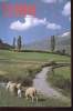 PYRENEES - REVUE TRIMESTRIELLE N° 147 - N° 3 DE 1986 - DANS LES PAS DES CADIERS - SAINT-BEAT - TROIS CENTS MILLIONS D'ANNEES SOUS LES PAS D'UN ...