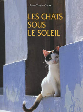 LES CHATS SOUS LE SOLEIL. JEAN CLAUDE CARTON