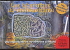 LES LABYRINTHES DU CHATEAU HANTE - 6 ITINERAIRES A TRACER AVEC TON FEUTRE MAGIQUE ( FEUTRE NON INCLU). COLLECTIF