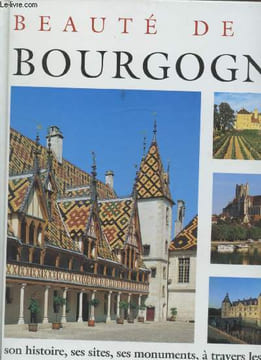 Beauté de la Bourgogne. Dupuy Pierre