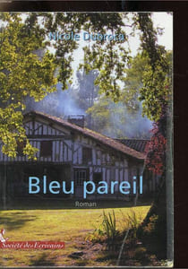 Bleu pareil
