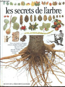 Les secrets de l'arbre