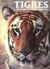 Tigres - la fascination d'un regard majestueux. Server Lee
