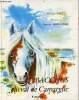 Bacchus cheval de camargue. Bizet Michel