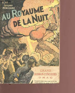 Au royaume de la nuit - Collection grand roman concours DRAC
