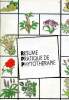 Résumé, pratique de phytotherapie. Collectif