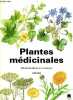 Plantes médicinales - 256 illustrations en couleurs. Volak Jan, Stodola Jiri