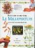 Le millepertuis hypericum perforatum - Collection Petit guide du bien-être .. Rosemary Davies Jill