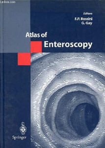 Atlas of enteroscopy.