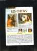 1 PLAQUETTE PETIT GUIDE N°22- LES CHIENS. COLLECTIF