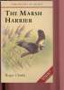 The marsh Harrier. Clarke Roger