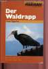 Der Waldrapp. Pegoraro Karin