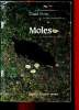 Moles. Stone David