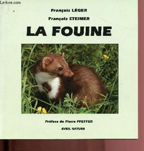 La fouine