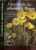 Encyclopédie des plantes à fleurs. Krisa Bohdan