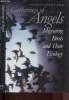 Gatherings of angels : migrating birds and their ecology. Able P. Kenneth,; Baird James, L. Bildstein Keith