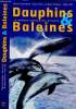 Dauphins & baleines ( la grande famille des cétacés). Carwardine Mark, Hoyt  Erich, Fordyce R. Erwan