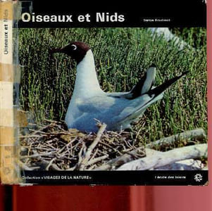 Oiseaux et nids
