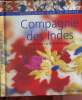 "Broderies sur le motif : Compagnie des Indes (Collection ""Arts d'intérieur"")". Fauque Claude, Bayard Marie-Noëlle