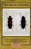 Petit atlas des coléoptères - tome II - comptoir central d'histoire naturelle. Collectif