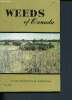 Weeds of canada - publication 948 - botany and plant pathology division, science service. Frankton Clarence
