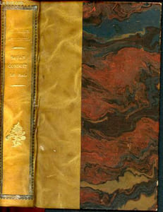 Satan conduit le bal - - roman pampmphletaire et philosophique des moeurs du temps