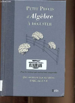 Petit précis d'algèbre à déguster (pour les curieux qui veulent tout comprendre), des vecteurs aux variables : l'abc du z+x. Willers Michael