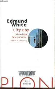 City Boy, chronique new-yorkaise - Collection Feux croisés.