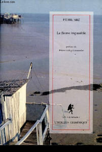 Le fleuve impassible - Collection De mémoire.