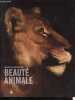 La Beauté Animale - Album de l'Exposition.. Voisin Elise, Collectif