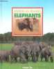 Espèces en danger - Eléphants.. Jackson Peter