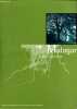 Programme: Malagar - Saison culturelle 1999.. Collectif
