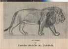 Les croquis.. Lauron du Quesnel Camille