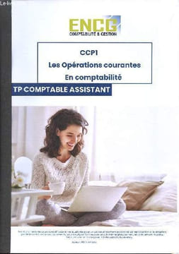 CCP1 - Les opérations courantes en comptabilité - TP Comptable assistant.. Pean Arnaud