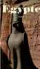 Egype - Guide pratique.. de la Chaise, Kervran, Leroy, Meeks