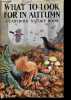 What to look for in autumn.. Grant Watson E. L.